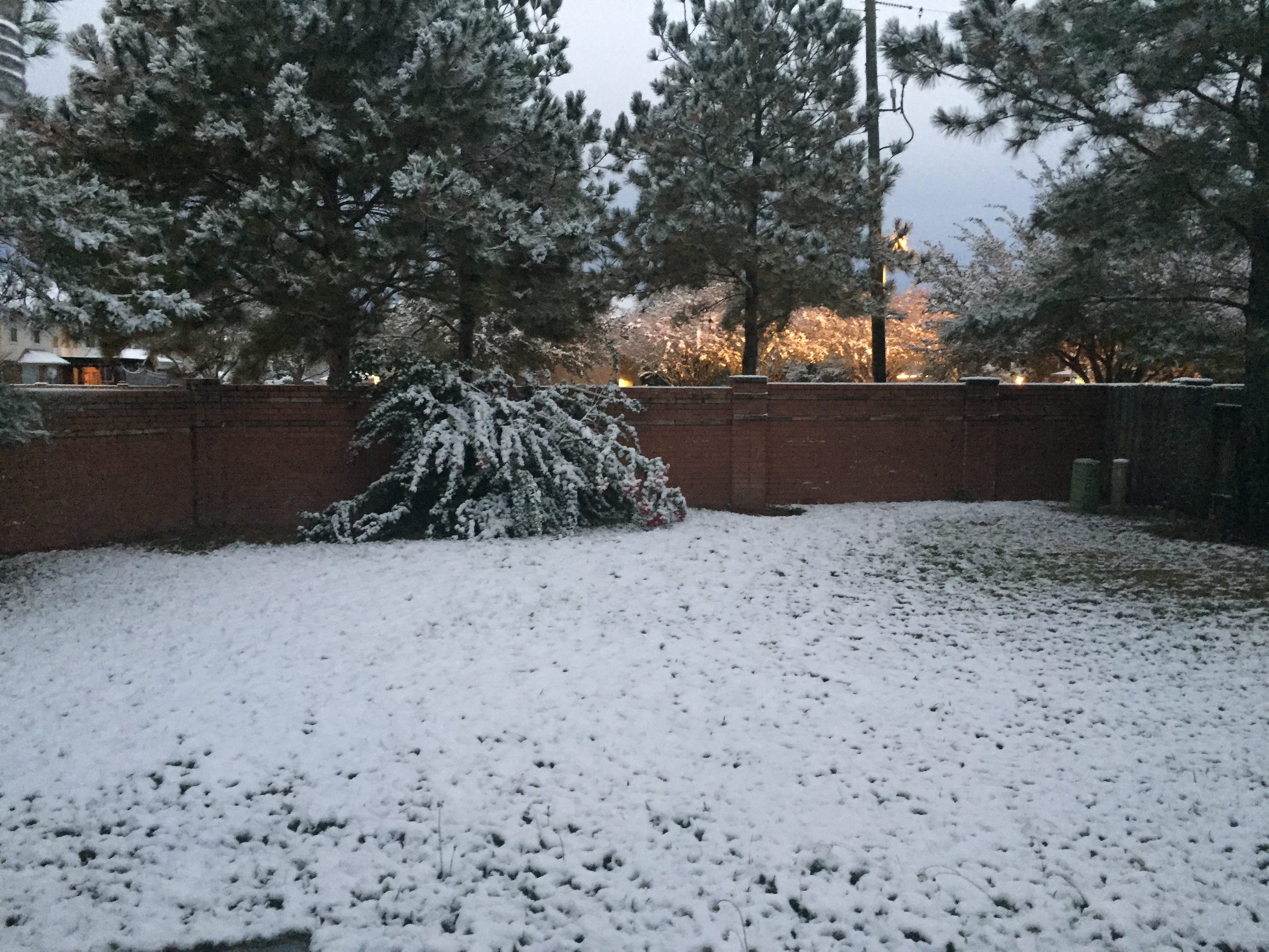 Snow in Houston The Satellite Coogfans