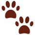 paw_prints