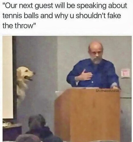 2024-08-15 Fake Throw_R