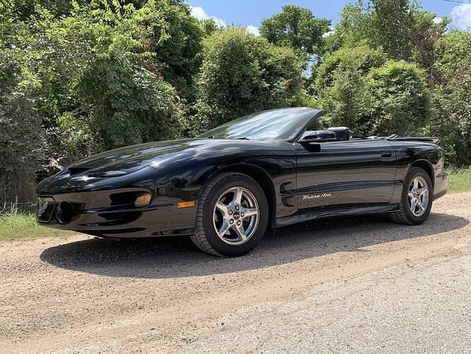 The Rarest Trans Ams Rare Trans Am sighting - The Satellite - Coogfans