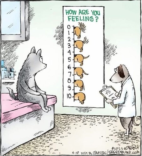 FB_IMG_1761243282992