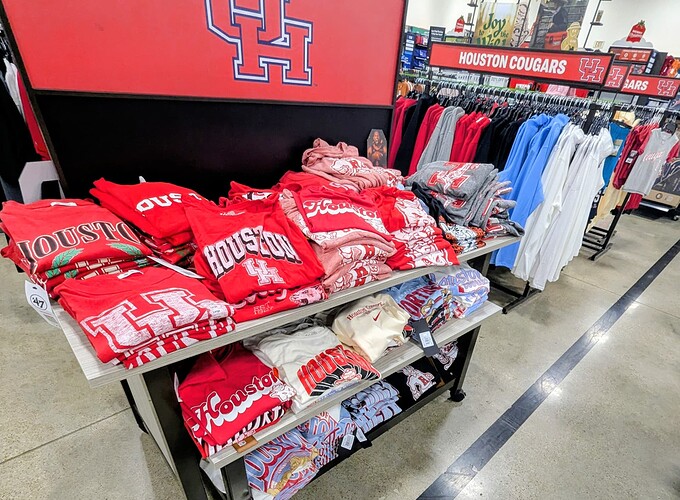 PXL_20251116_001319683.MP~2