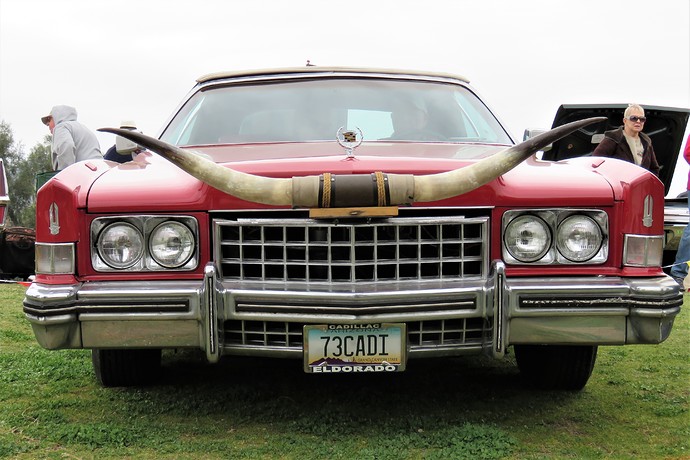 1973-Cadillac-with-steer-horns