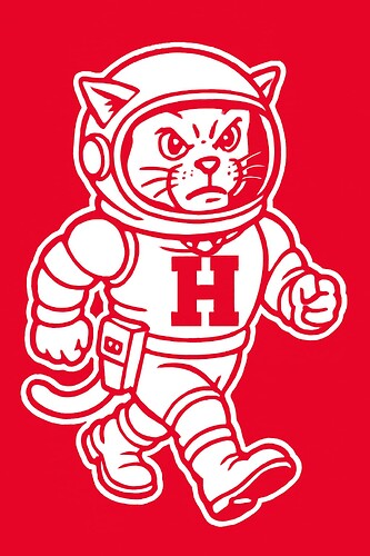 Houston's Astronaut Cat Mascot