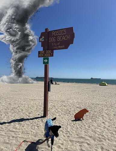 Mematic_20251221_193841~2