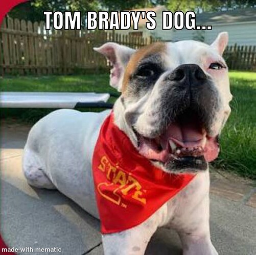 Mematic_20251105_062603