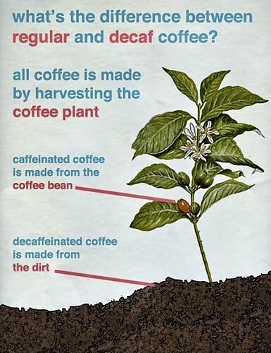 2021-10-30 Decaf Coffee_R