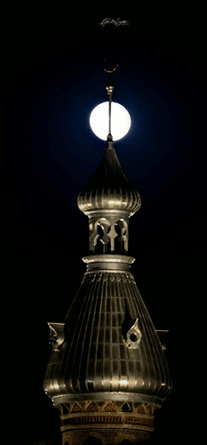 wolf moon at u of tamap