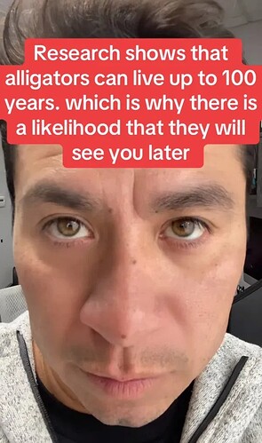 17639284306125203303207814015736