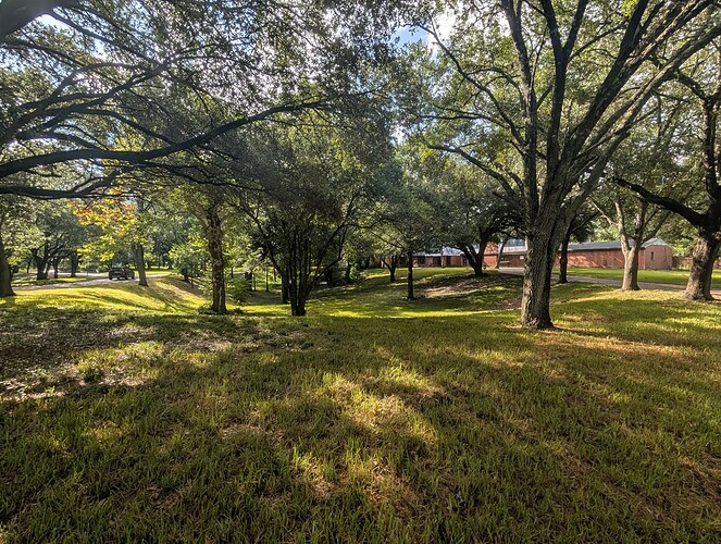 PXL_20260809_144139262