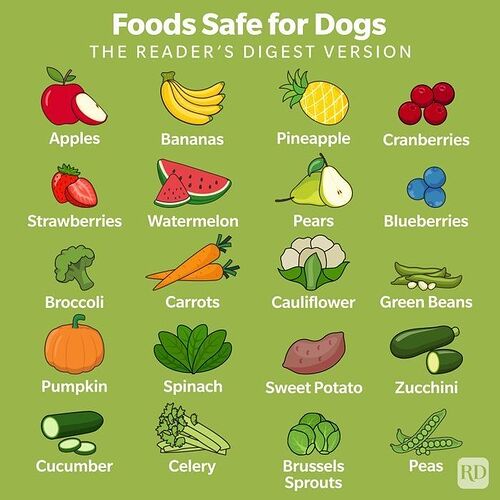 vegg for dogs