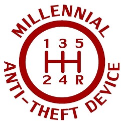 Millennial Anti-Theft Device