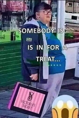 17655500618492845988095355849631