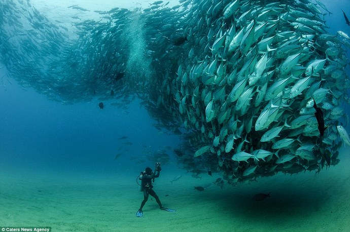 article-2284287-184499FD000005DC-943_964x641