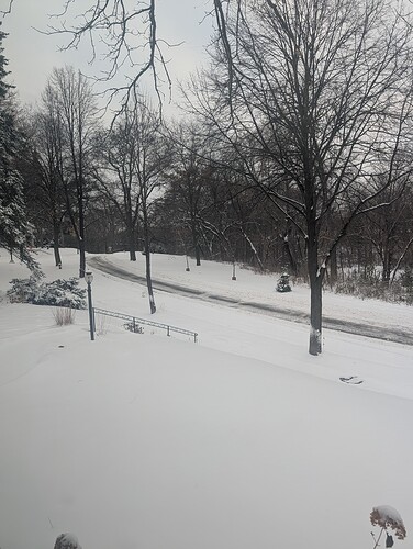 PXL_20251130_142047737.MP