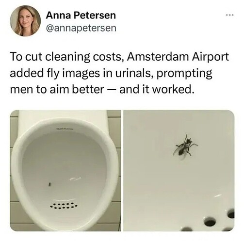 17635757199871993267305141521455