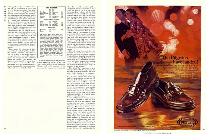 pic-196909-pigskin-preview-5