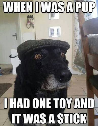 02 old dog