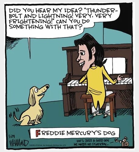 FB_IMG_1752178757990