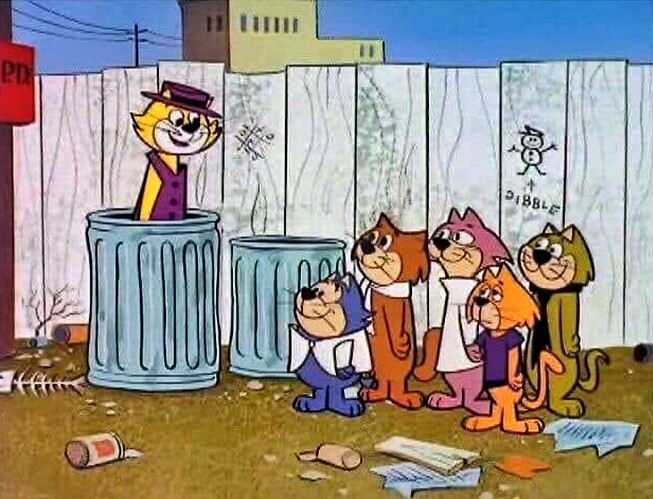 2025-01-09 Top Cat_R