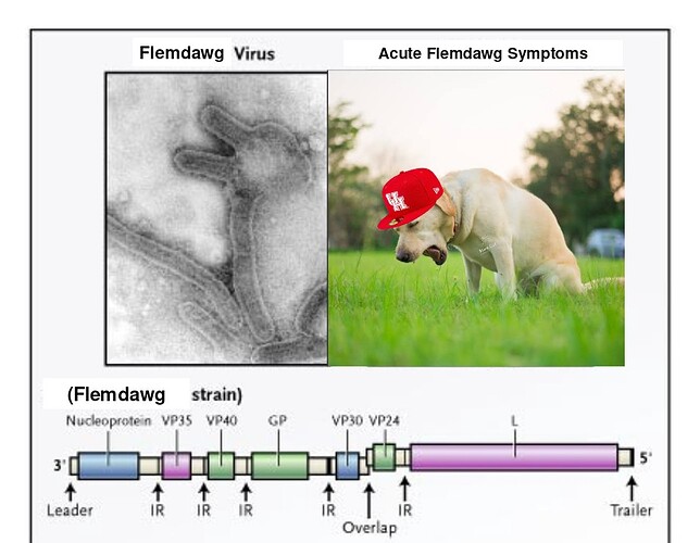 magicut_1766516698575~2