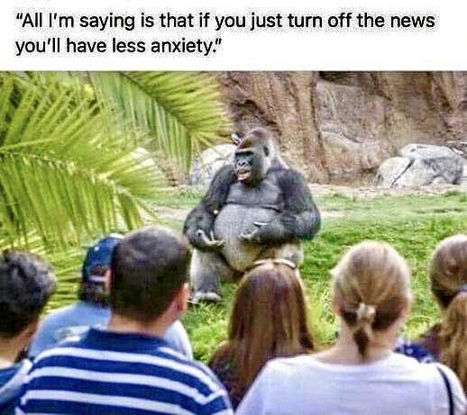 2021-05-14 Gorilla Turns off the News_R