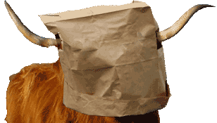 bevo-baggif-f3bcf841a0dc35ce