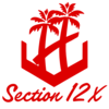 :section_12x: