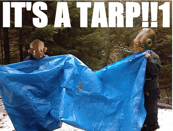 Tarp