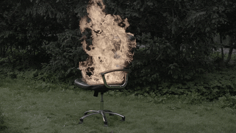 giphy(1)
