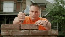 vols-tennessee
