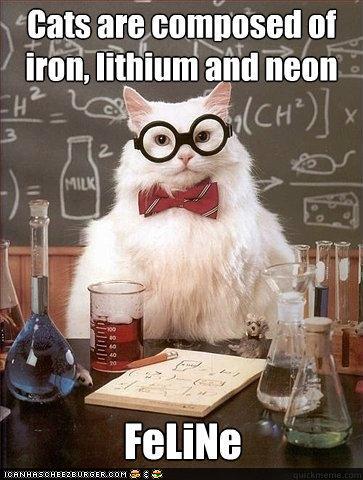 Funny-Pictures-Chemistry-Cat