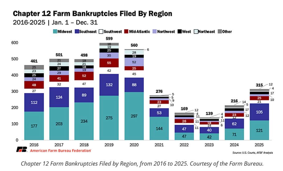 FB_IMG_1771333031857